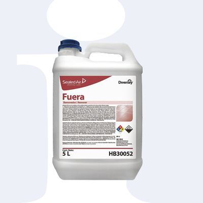 FUERA REMOVEDOR DE ACABADOS 5 LT